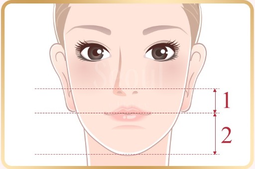 墊下巴手術_下巴比例_首爾醫美