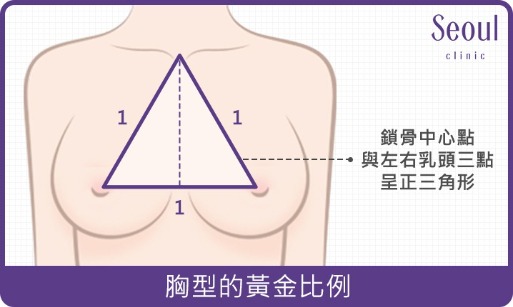 隆乳手術_胸型的黃金比例_首爾醫美